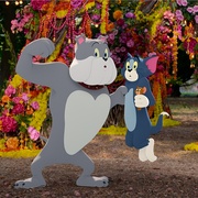 点击查看图片 猫和老鼠 Tom and Jerry