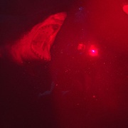 鲨海 47 Meters Down