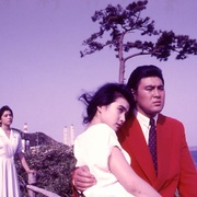 闪光的女人 光る女