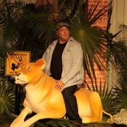 动物园看守 Zookeeper
