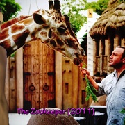 动物园看守 Zookeeper