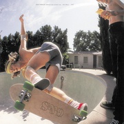 狗镇和滑板少年 Dogtown and Z-Boys