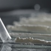 毒品生意 The Business of Drugs