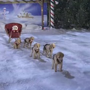 圣诞巴迪 Santa Buddies