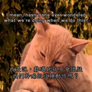 怪医杜立德5：百万傻蛋 Dr. Dolittle: Million Dollar Mutts