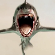 鲨鱼帝国 Empire of the Sharks
