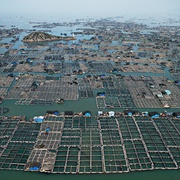 水风景 Watermark