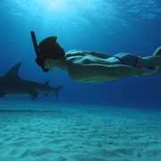 鲨鱼海洋：灭绝 Sharkwater Extinction