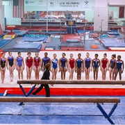 在金牌的核心：美国体操丑闻 At the Heart of Gold: Inside the USA Gymnastics Scandal