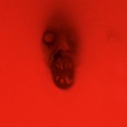 死亡之屋 The House of the Dead