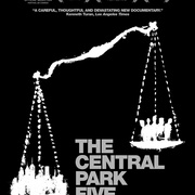 中央公园五罪犯 The Central Park Five