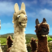 小羊肖恩：农夫的美洲驼 Shaun the Sheep: The Farmer's Llamas