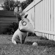 科学怪狗 Frankenweenie