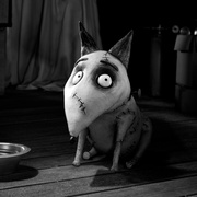 科学怪狗 Frankenweenie