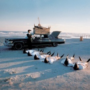 列宁格勒牛仔征美记 Leningrad Cowboys Go America