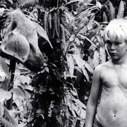 蝇王 Lord of the Flies