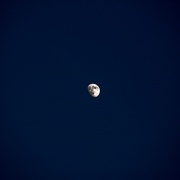 月光男孩 Moonlight