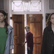 良种动物 Thoroughbreds