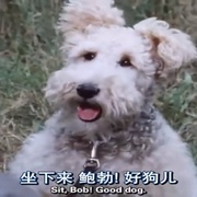 大侦探波洛 第六季 Agatha Christie's Poirot Season 6