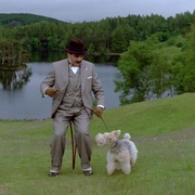 大侦探波洛 第六季 Agatha Christie's Poirot Season 6