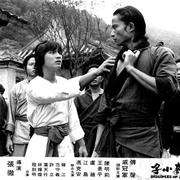 洪拳小子
