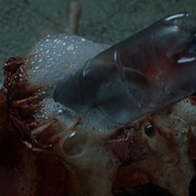 吸血鬼2 Dracula II: Ascension