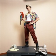 神探飞机头 Ace Ventura: Pet Detective