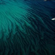 海洋星球 Planet Ocean