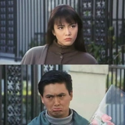 八星报喜 八星報喜
