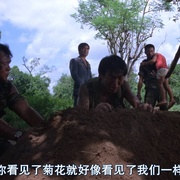 点击查看图片 英雄无泪 英雄無淚