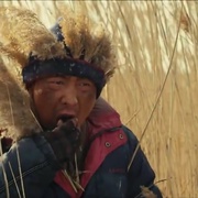 我和我的伙伴