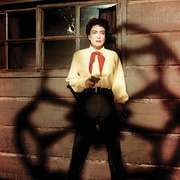 荒漠怪客 Johnny Guitar