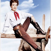荒漠怪客 Johnny Guitar