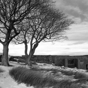 呼啸山庄 Wuthering Heights