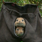 比得兔 Peter Rabbit