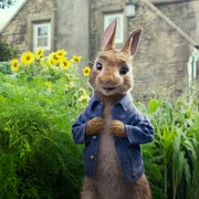 比得兔 Peter Rabbit