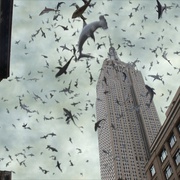 鲨卷风2 Sharknado 2: The Second One