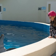 海豚伯尼 Bernie The Dolphin
