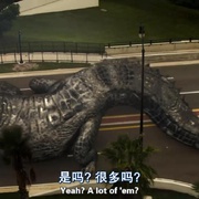 巨蟒大战恐鳄 Mega Python vs. Gatoroid
