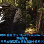 巨蟒大战恐鳄 Mega Python vs. Gatoroid