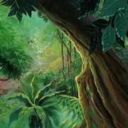 最后的雨林 FernGully: The Last Rainforest