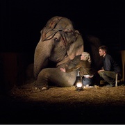 大象的眼泪 Water for Elephants