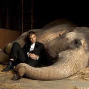 大象的眼泪 Water for Elephants