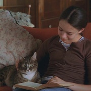 孤女梦痕 Pictures of Hollis Woods