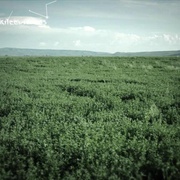 灵异牧场 Skinwalker Ranch
