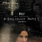 点击查看图片 一只叫钱的狗 A Dog Called Money