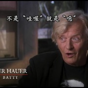 危险的日子：银翼杀手制作始末 Dangerous Days: Making Blade Runner