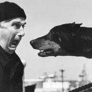 点击查看图片 白头神探2½:恐怖的气味 The Naked Gun 2½: The Smell of Fear