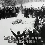 美国漫画史 Comic Book Confidential