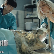 狂暴凶狮 Prooi